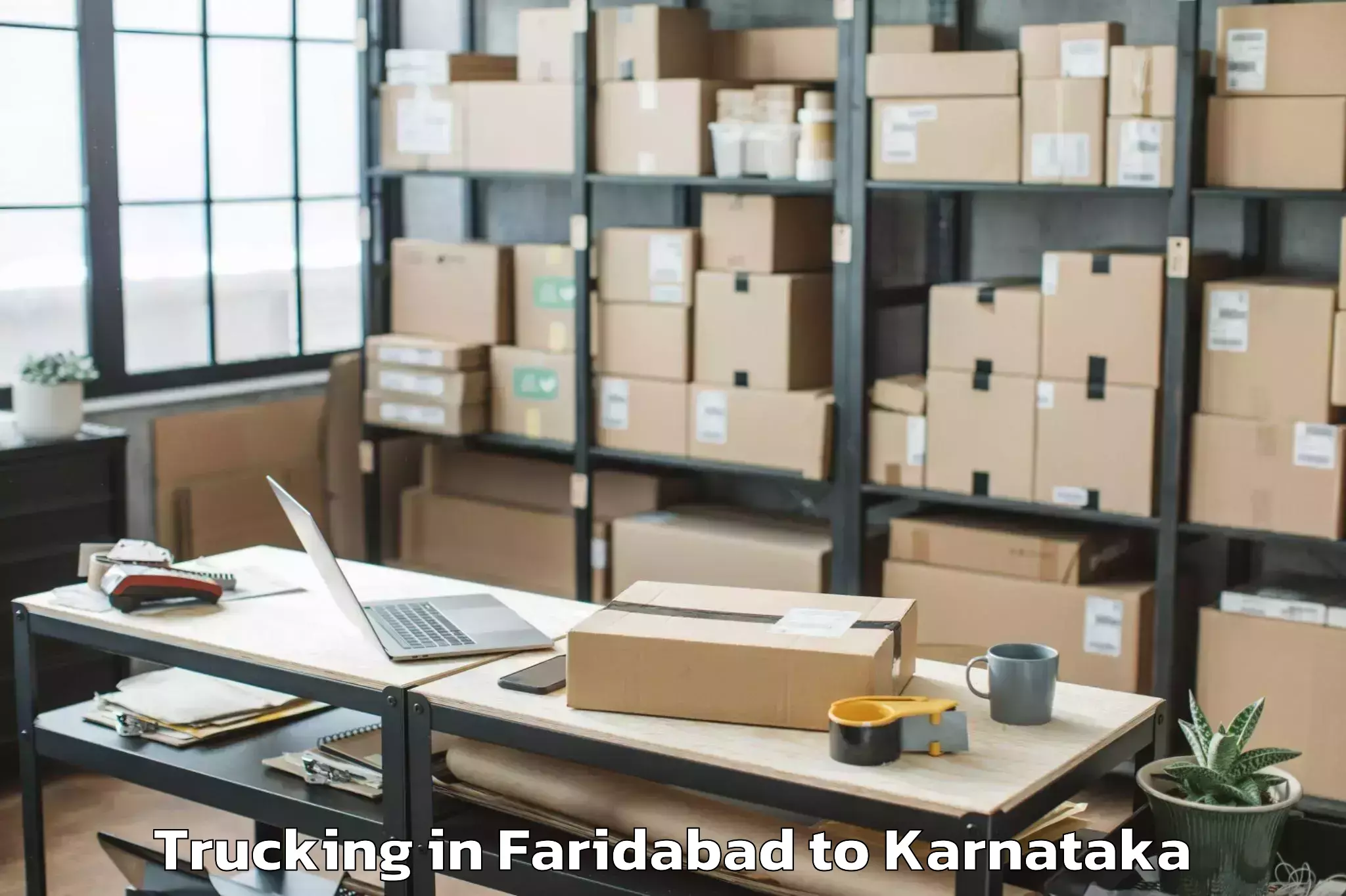 Book Faridabad to Emmiganur Trucking Online